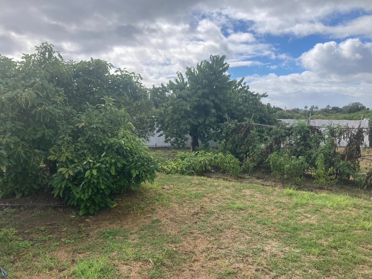 64f91410-24f0-4beb-a3f0-7414dcbc4334