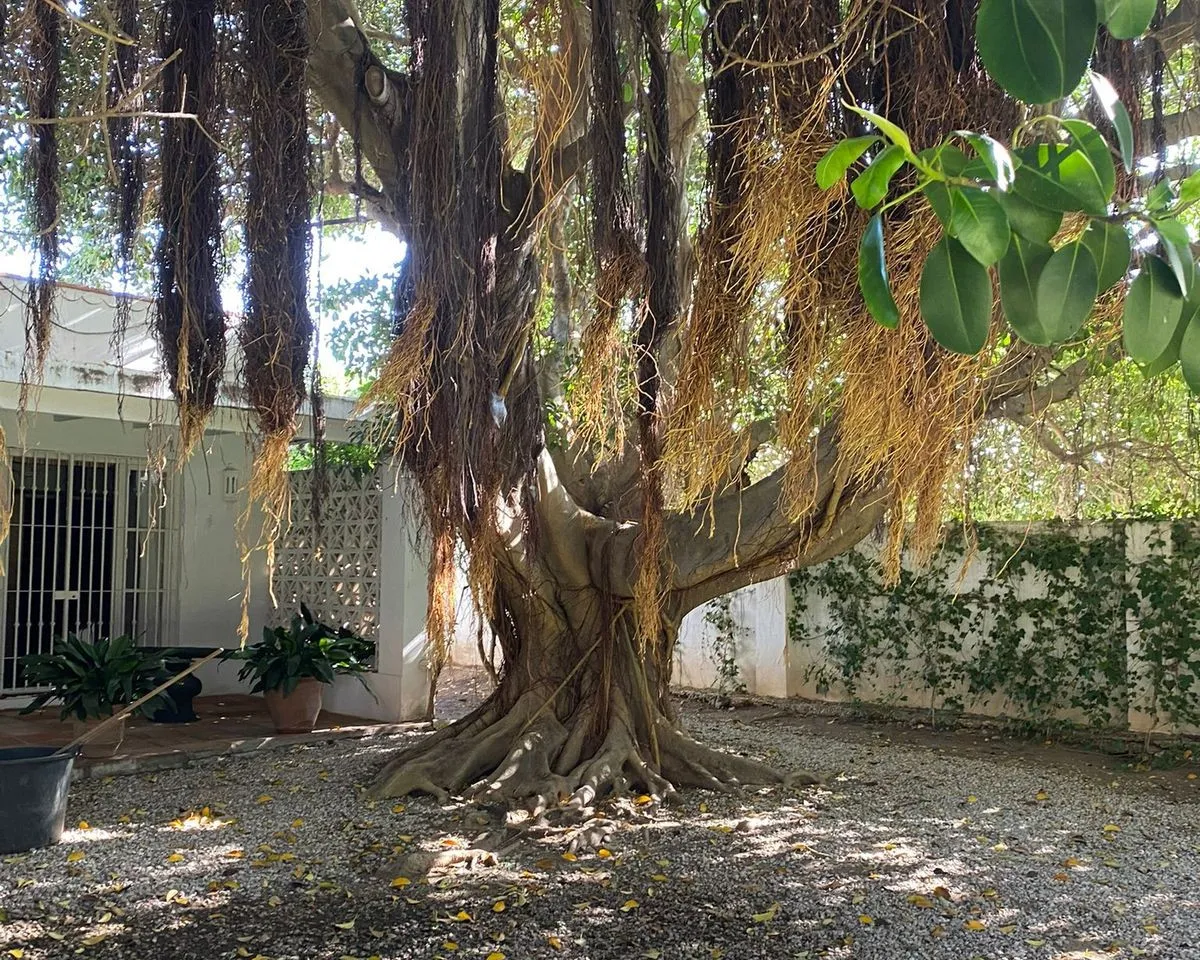 2c5020f3-4616-4f2e-b218-5bc81ed9d9a7