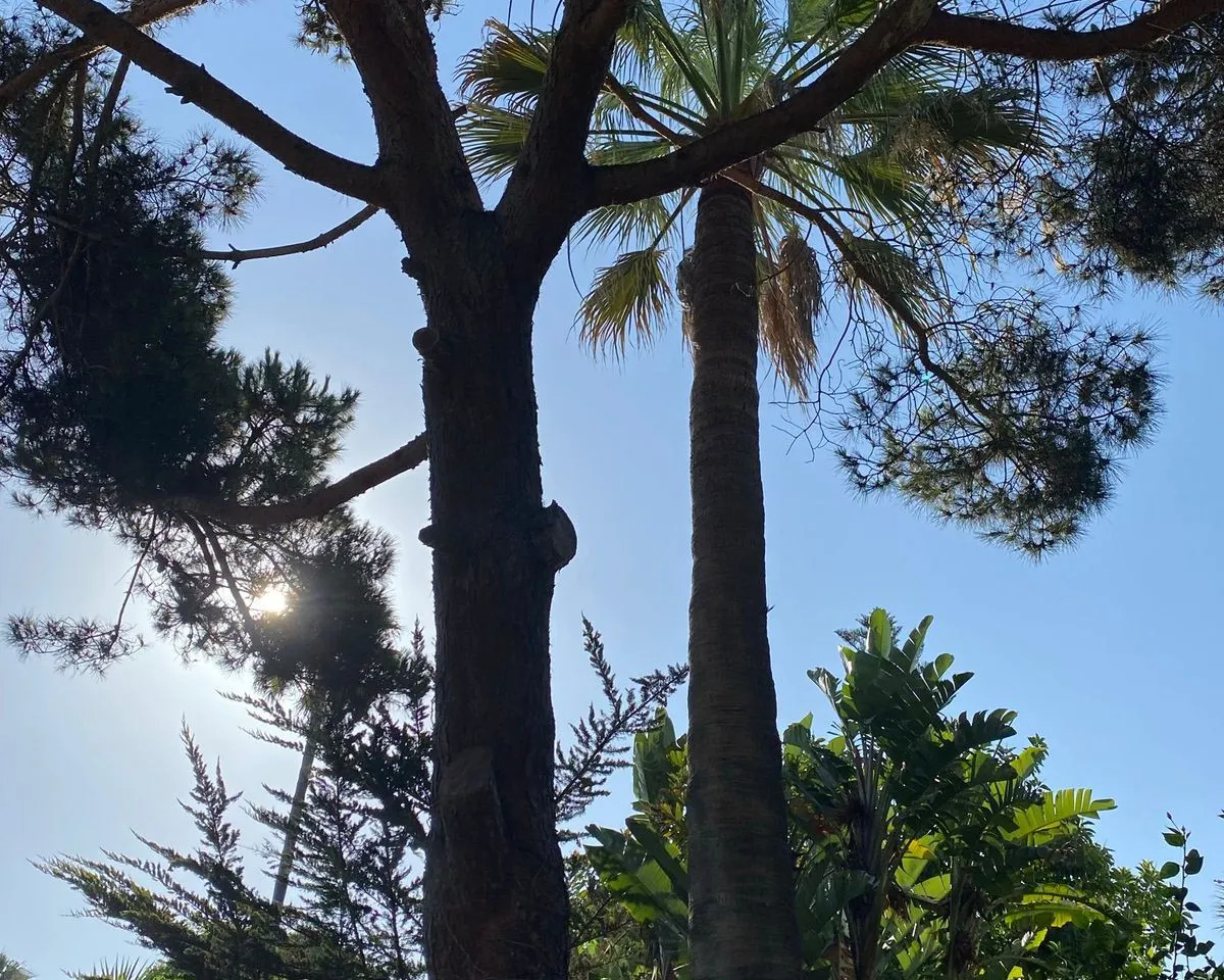 3a1d19f7-abaf-47d5-b17d-65cd42f8442f