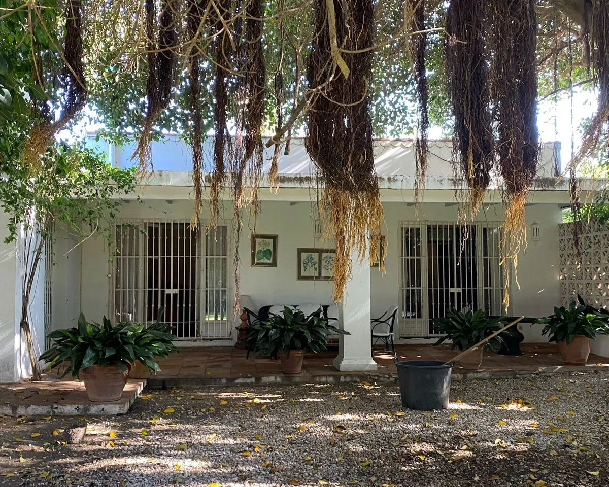 4d49ec50-dab3-4c23-b56e-9fd51460d153