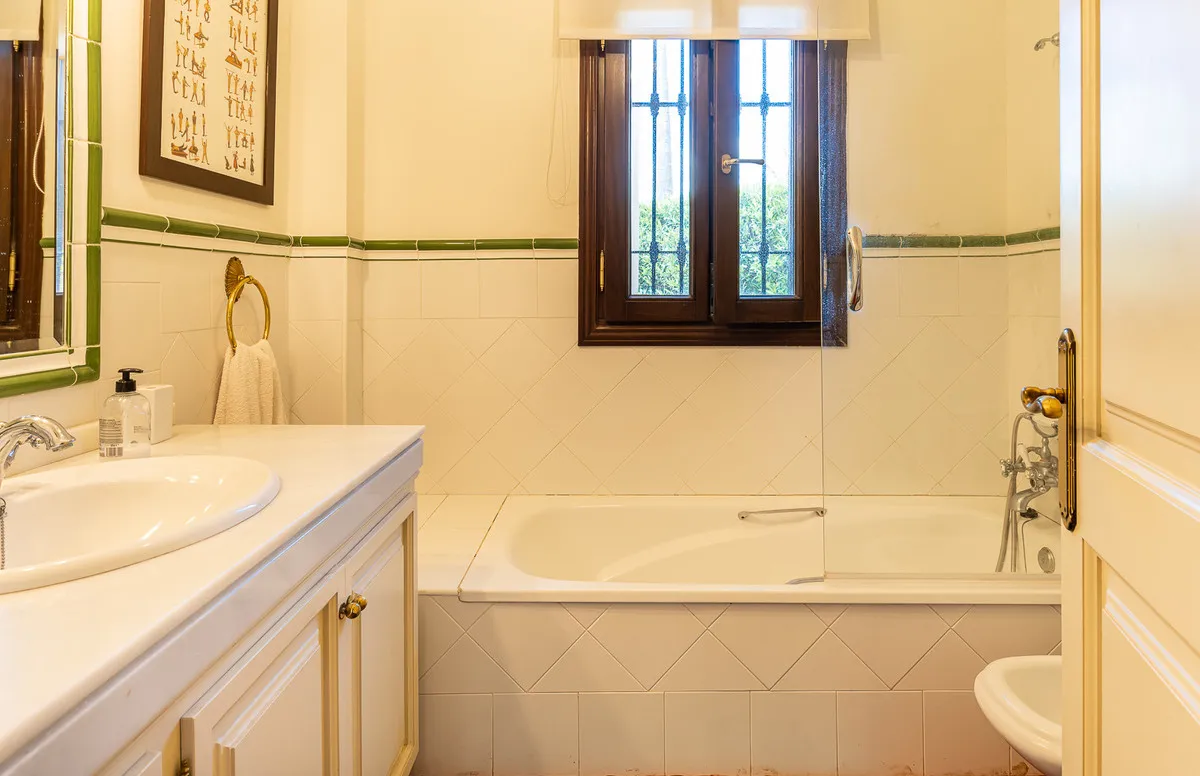 8fed1a52-0b5e-474a-af1d-a5d595054bba