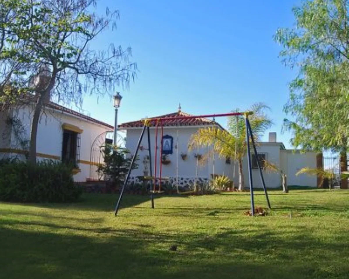 26d409a7-ffa4-4d55-a369-a9e1d53ced06