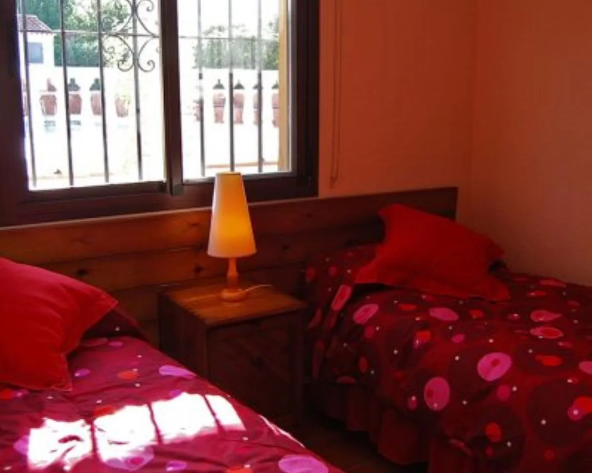 894e7be2-3c86-4b45-8002-ab2dceab298d