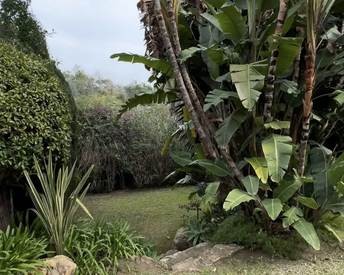 4ce66e77-d1a3-4b00-a12f-3e2c6310e435