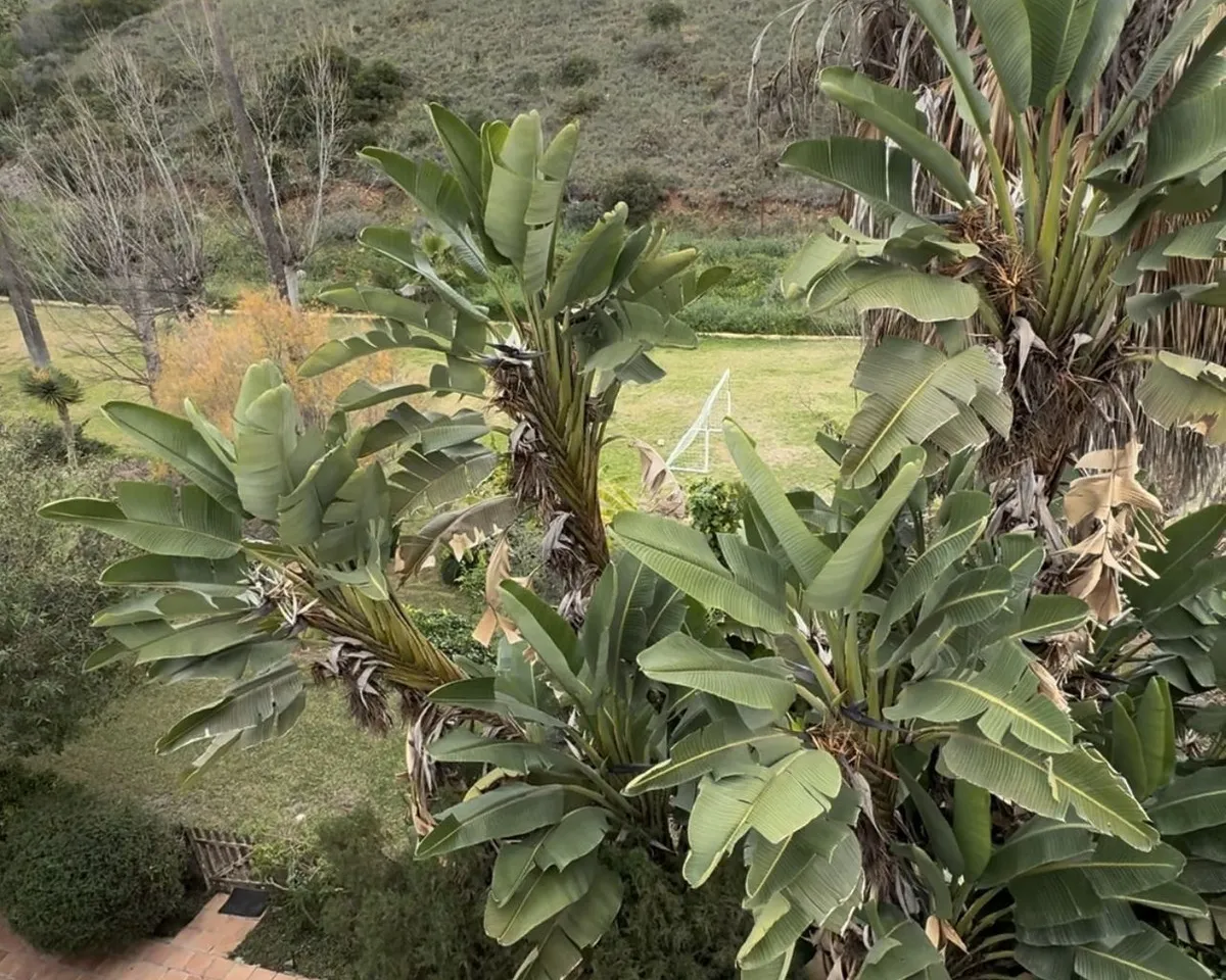 da4faf87-171d-4ad6-80a0-cf13f608b8f8