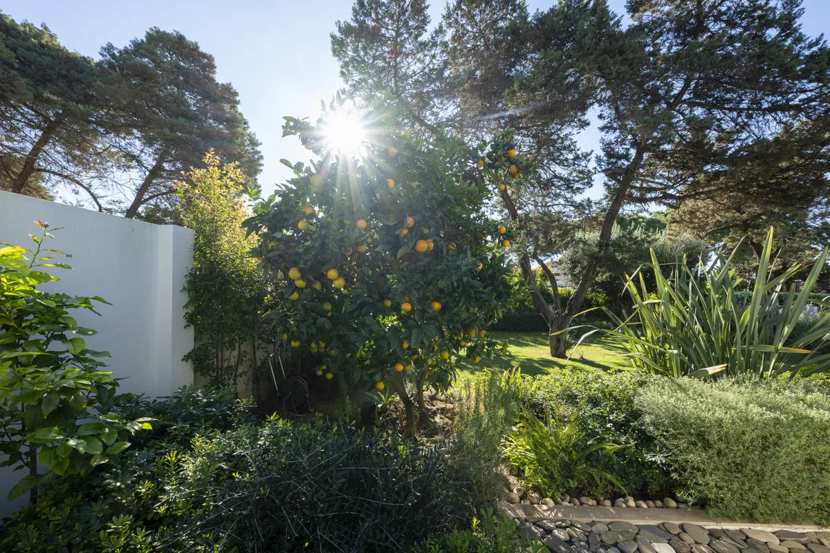 ac45eb52-36a8-4429-a115-35738eafe73c