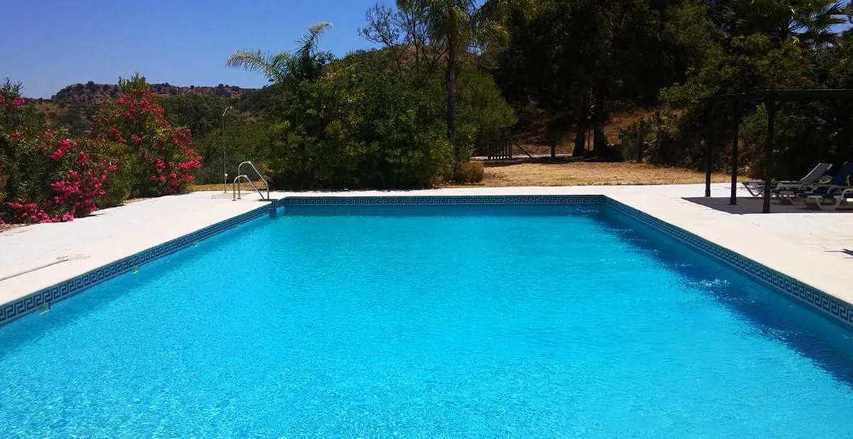 b2028025-682a-47c0-affa-6c3a07deeb2e