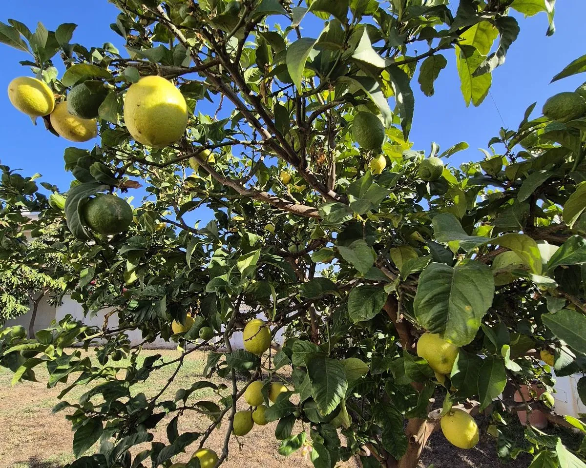 0f17bf01-3d58-47c0-b956-d3975940e28b