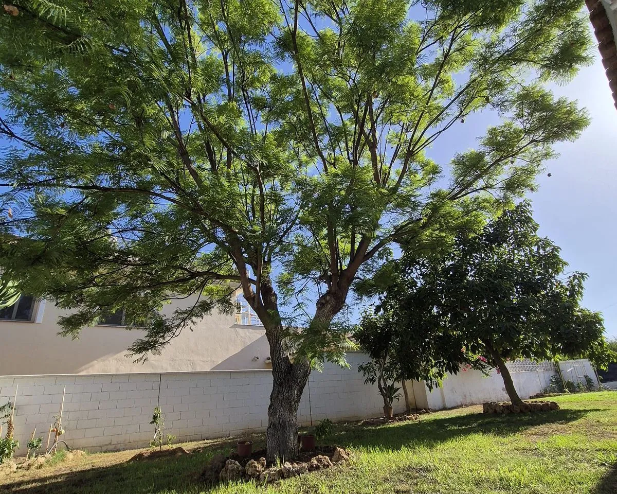 66634b11-f36b-4788-891c-e00cac481aa0