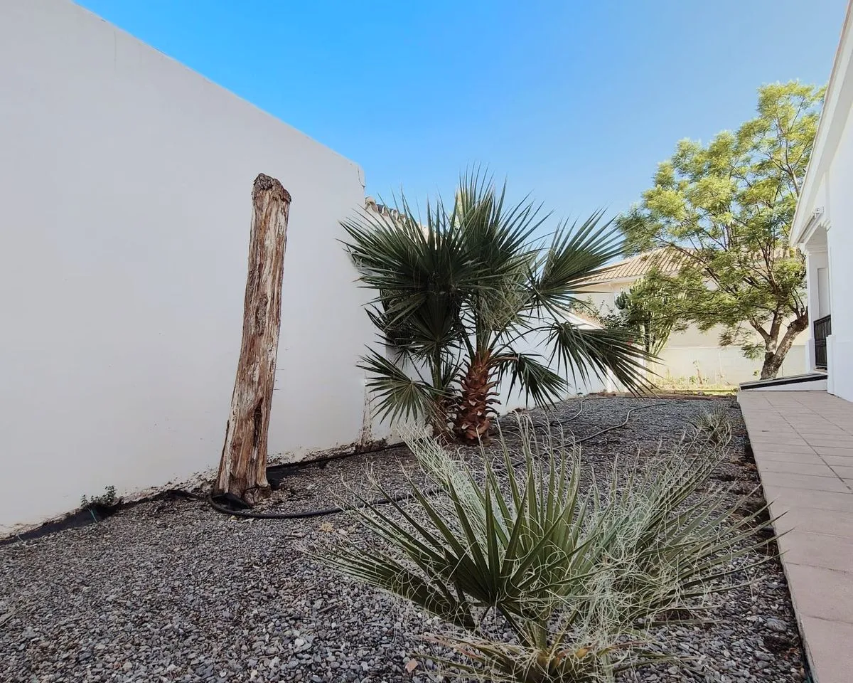 856b42f5-637f-4d7f-ad44-4ad8ca75e23e