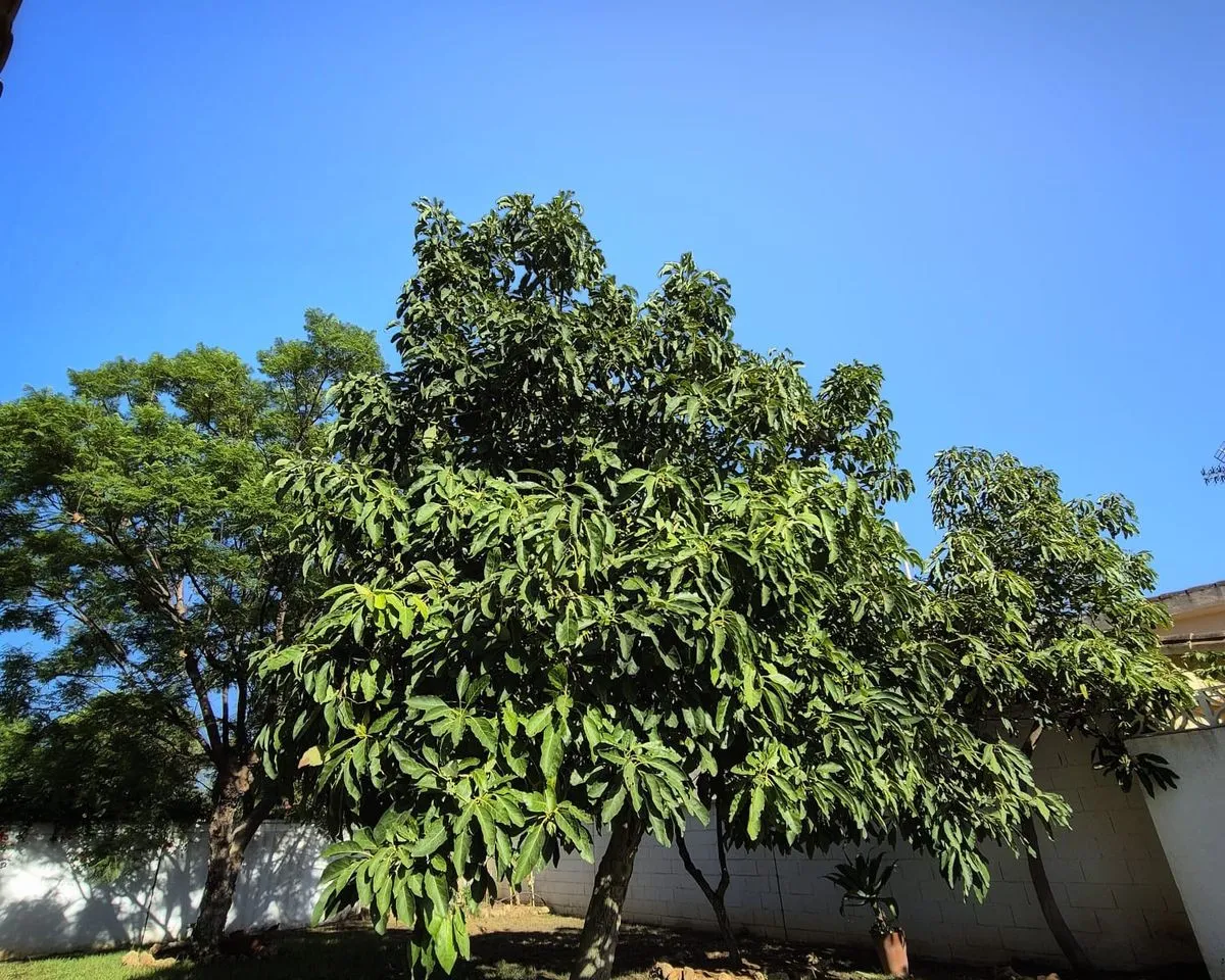 f8824301-5413-4830-b818-0f4ba5804002