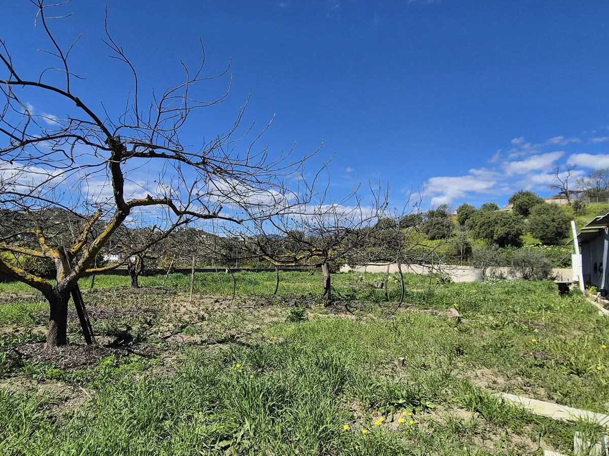 59abec23-bddd-4977-9487-3ceb55b6a5a9