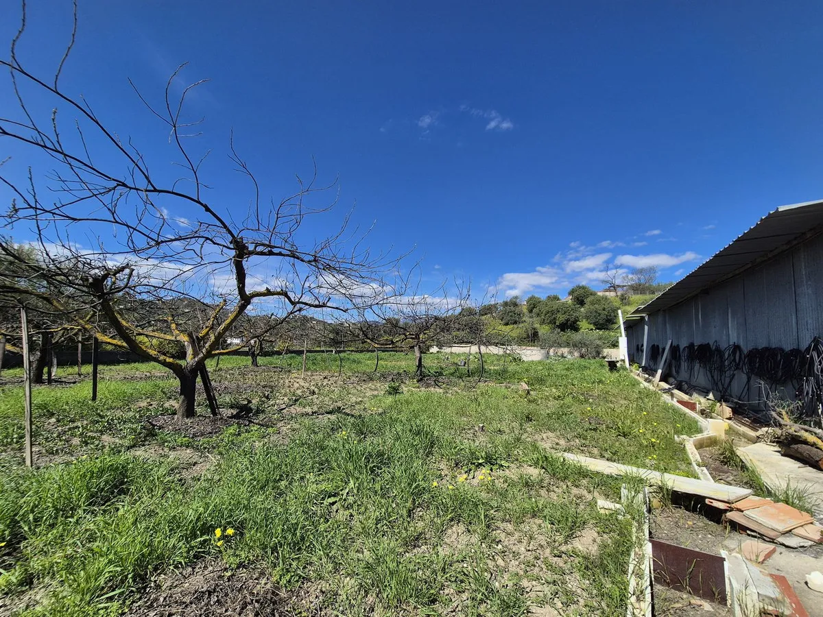 698249e0-9a12-46a9-85a9-58bd8189da79