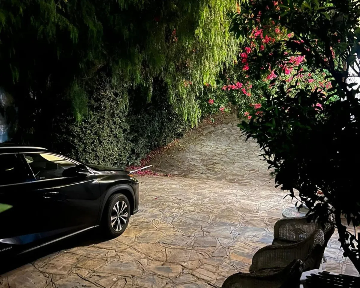 5dceae51-db0d-4b0c-a7fb-f491c49bc74e