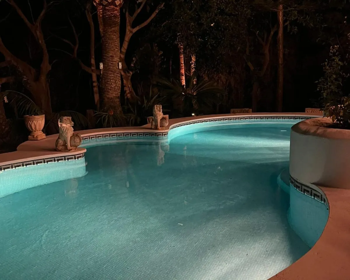 b5543752-7e15-4b9d-af57-6fea4b72a122