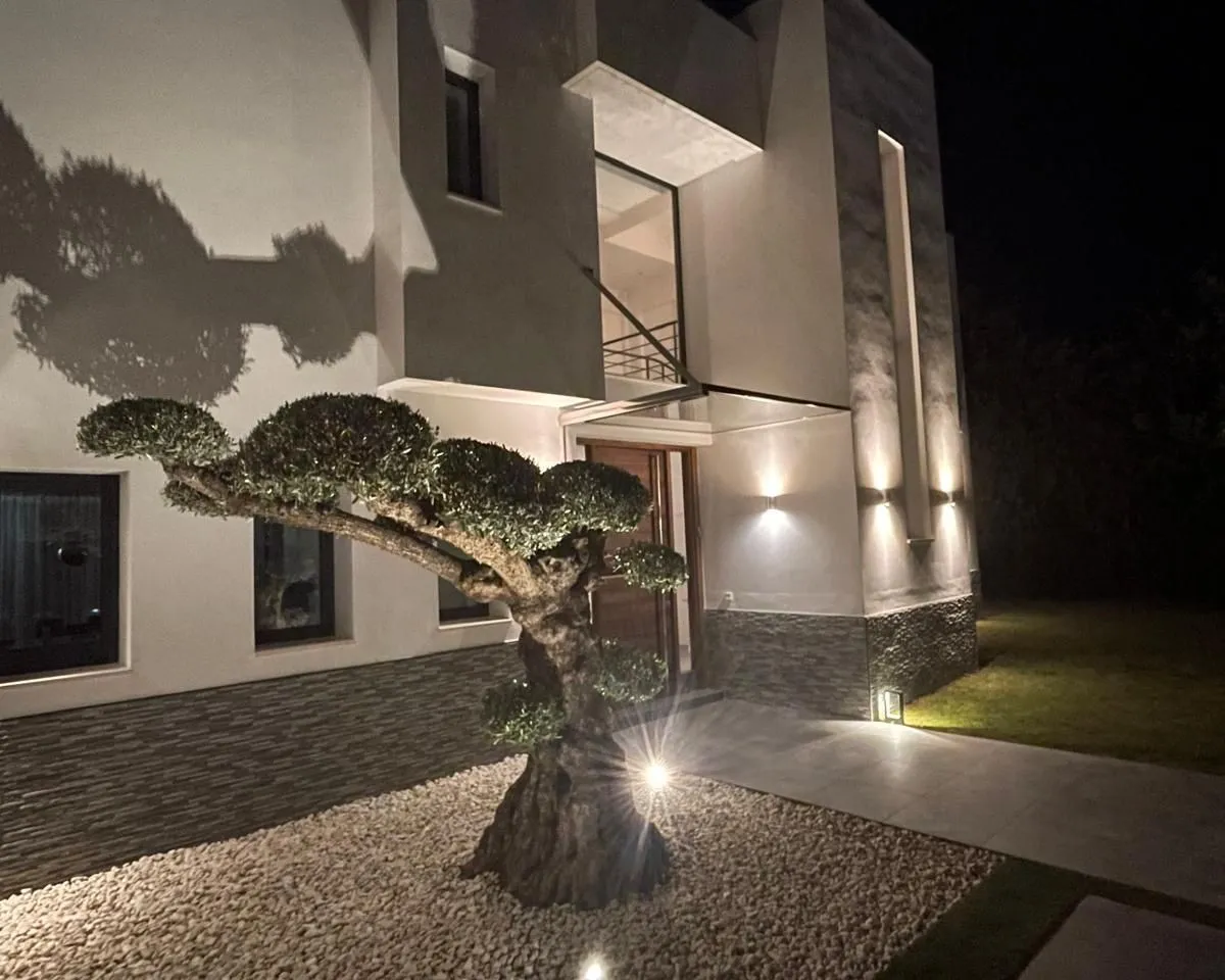 fdf73e46-f490-4d22-937e-467f97e0a9b3