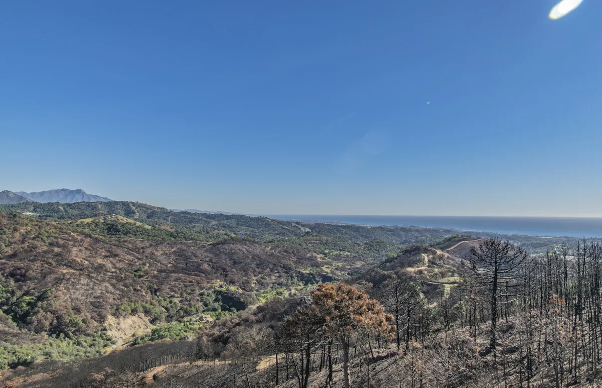 b53eb0f1-dff7-446a-adb0-7c30d1292189