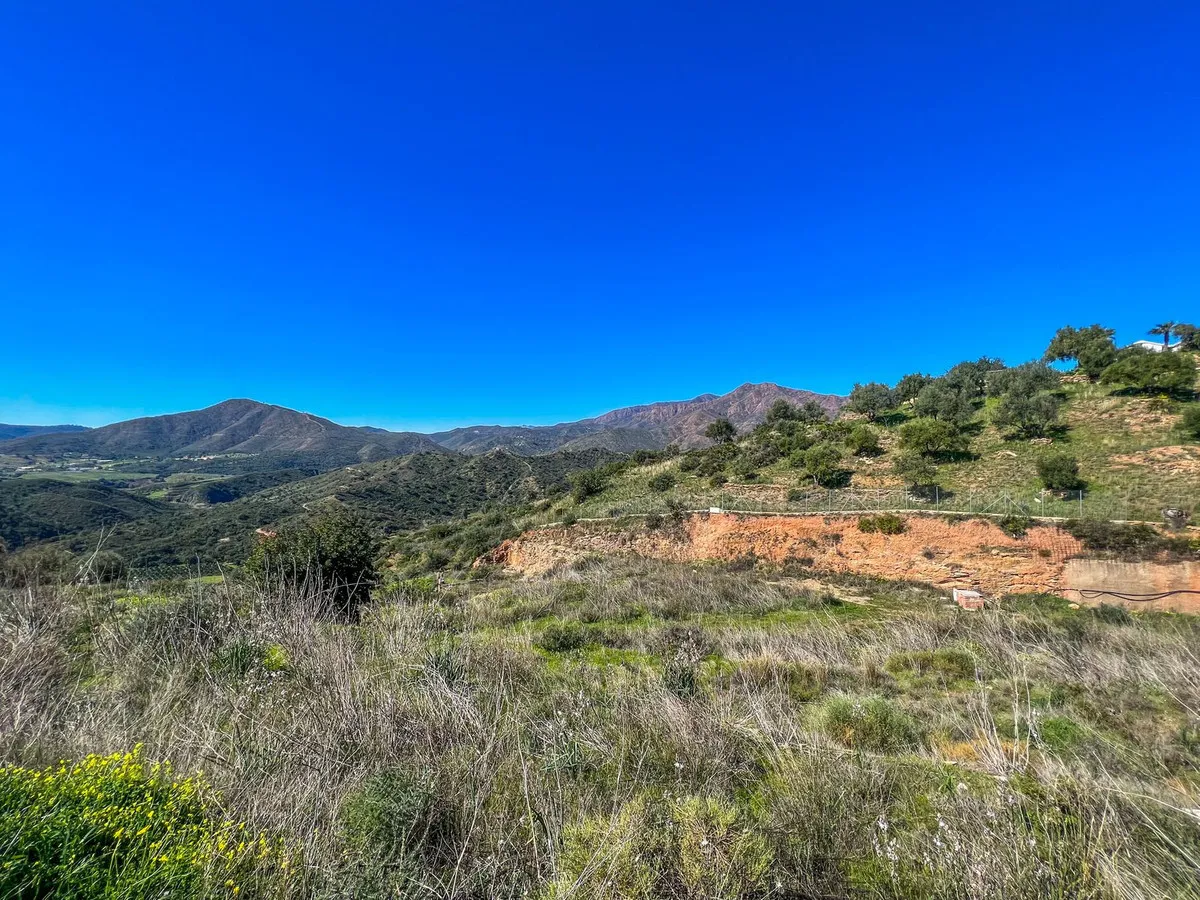 4340a303-cc63-449c-8113-72d1a8c8effb