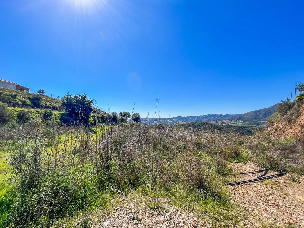 44f57815-e3b2-4598-ac7f-e149178a7034