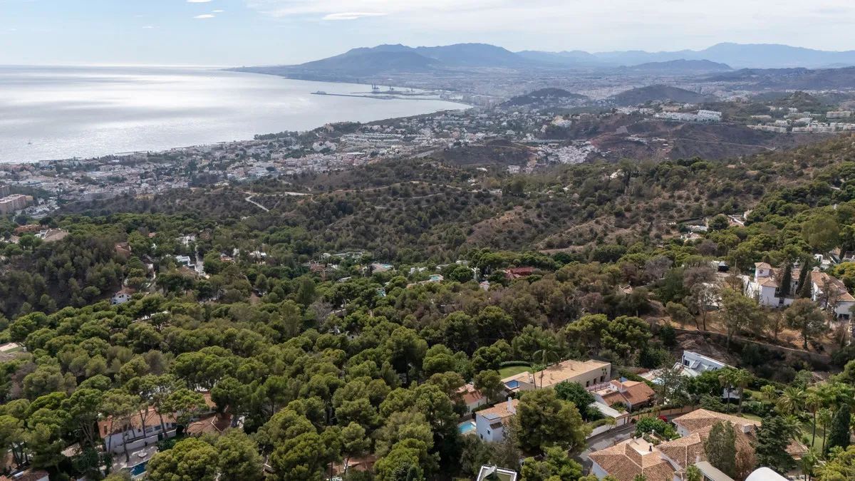 00f66bf7-e3d5-4870-916b-efc403cf7791