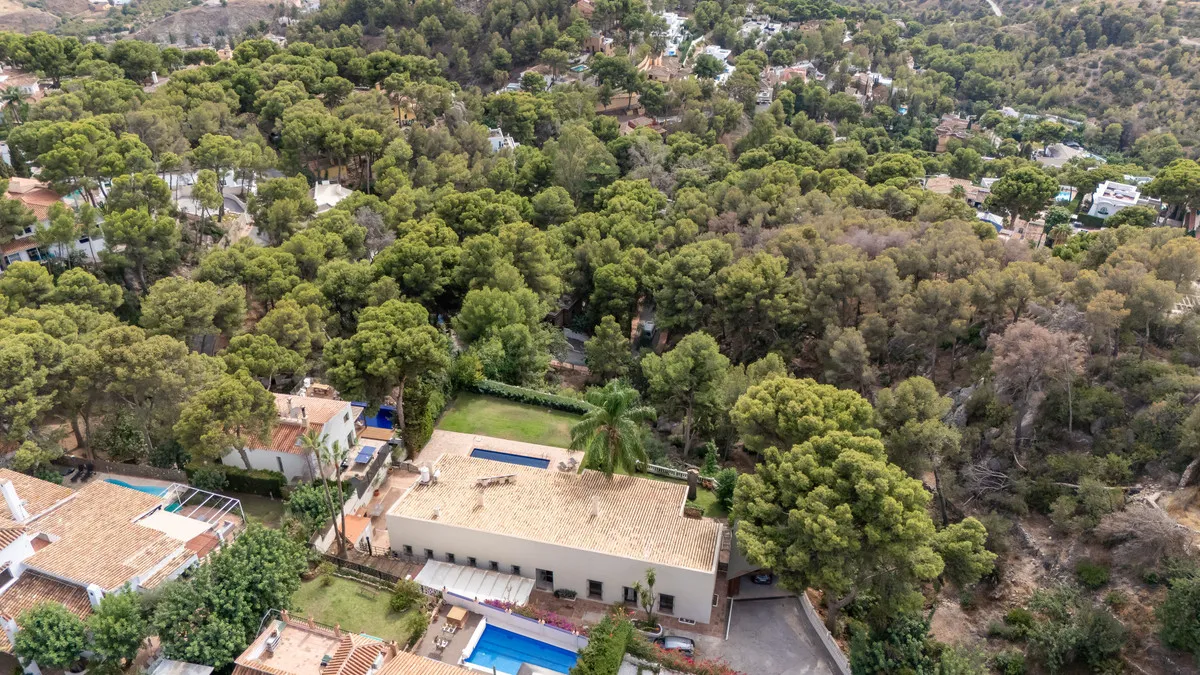 aeda92d4-a378-43b4-9b3b-a905e4ad70c7