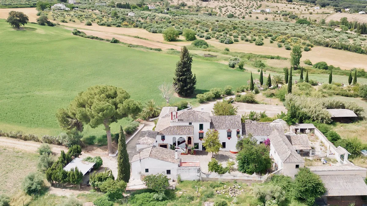 a438e115-8c71-4782-a401-a9f1f70edf63