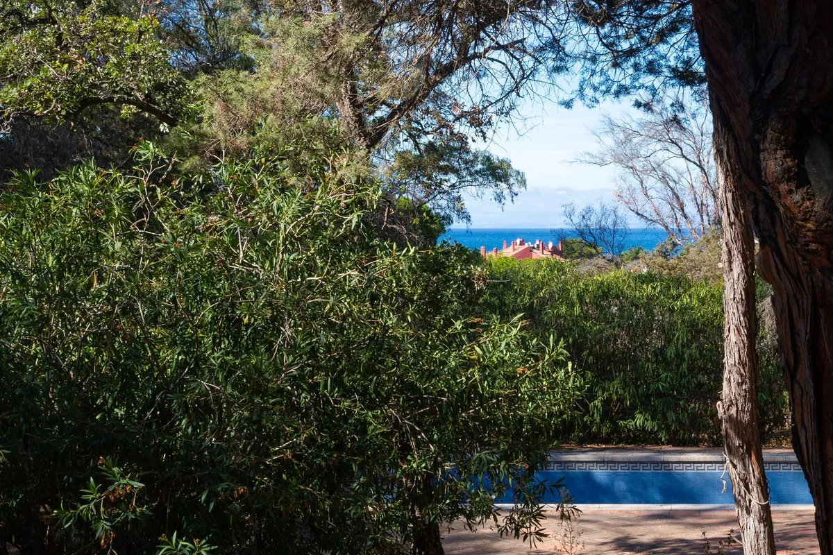 88310844-4154-4f27-ad4d-0b43873aca1a