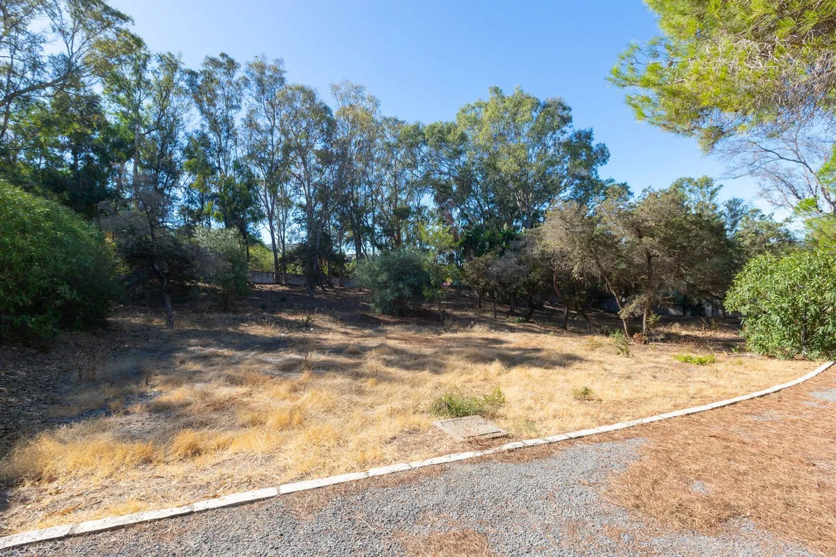 dda13ca7-0ba3-475c-b4d0-684520743455