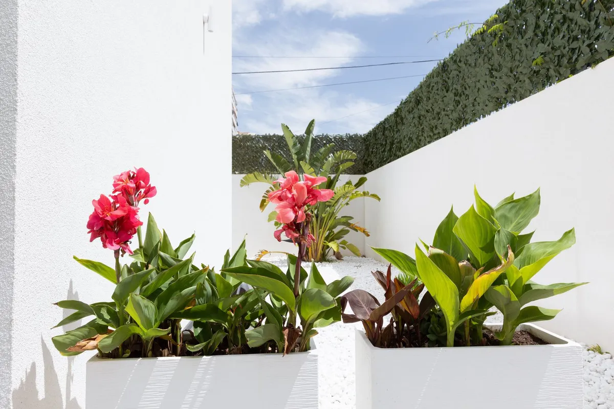 5f87f0fc-fb59-4779-9ce9-bb4c91053c68