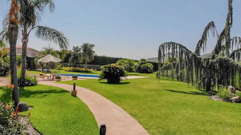 033ae7e1-11ef-4984-a169-e0ba5a1e22a6