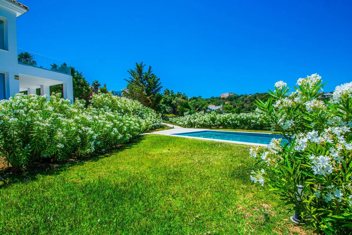 f1968f6e-9d7d-46f9-a10a-038ad6e26464