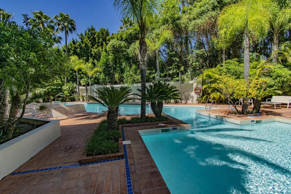 497b7eae-0073-43d3-93d2-d4ac2b4ea76b