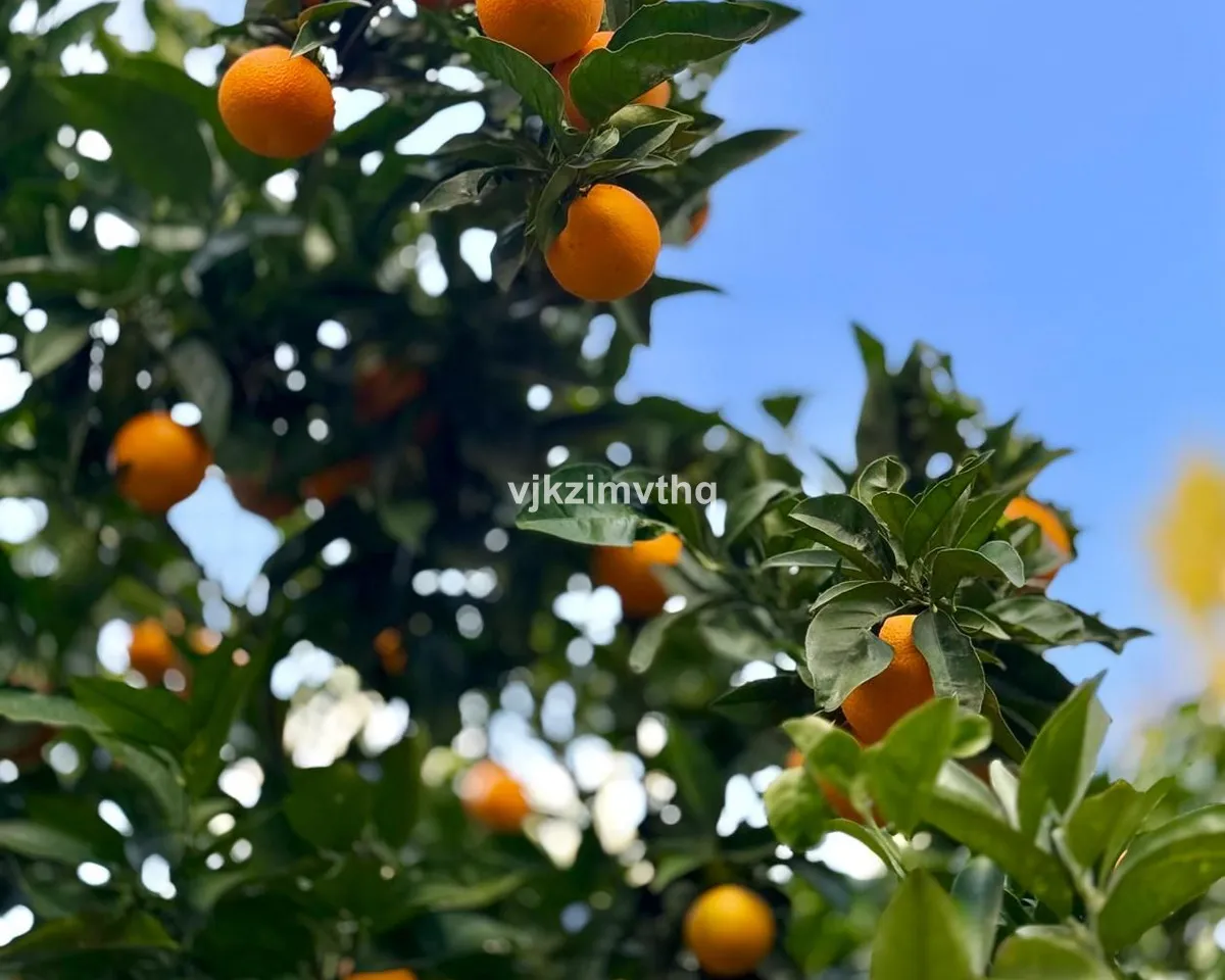 83947863-862b-4646-8aa4-e7ab68391b1e