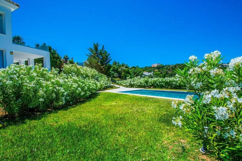 a08d7a4e-3ea3-4e7f-bc60-daff9875d139