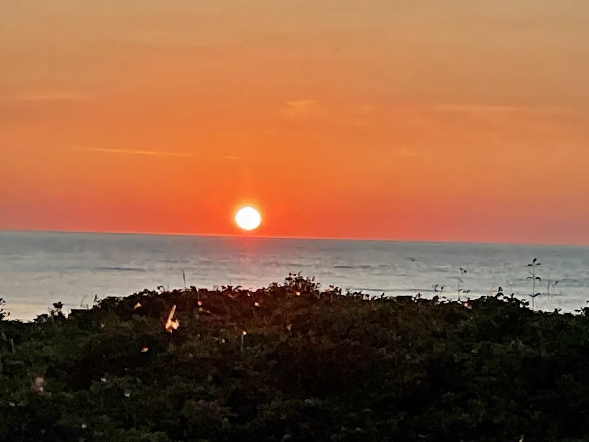 12998513-ea91-47b4-9d58-489685c6e1ab