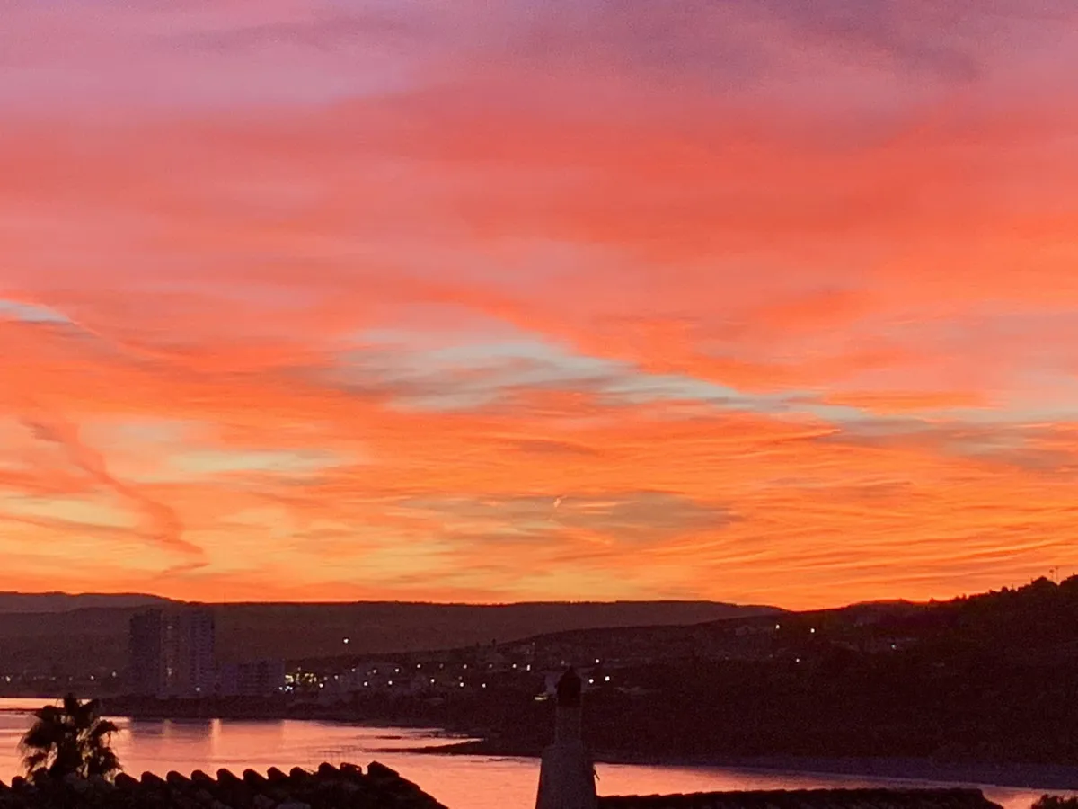 c8f2bdab-d120-4a01-b901-6b71ec1f96a0