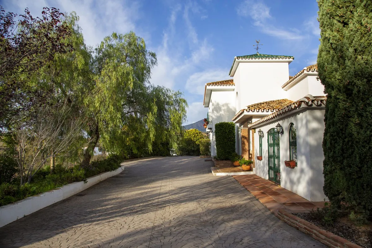 54023178-61f1-4e9c-b88d-cd246615f9ac