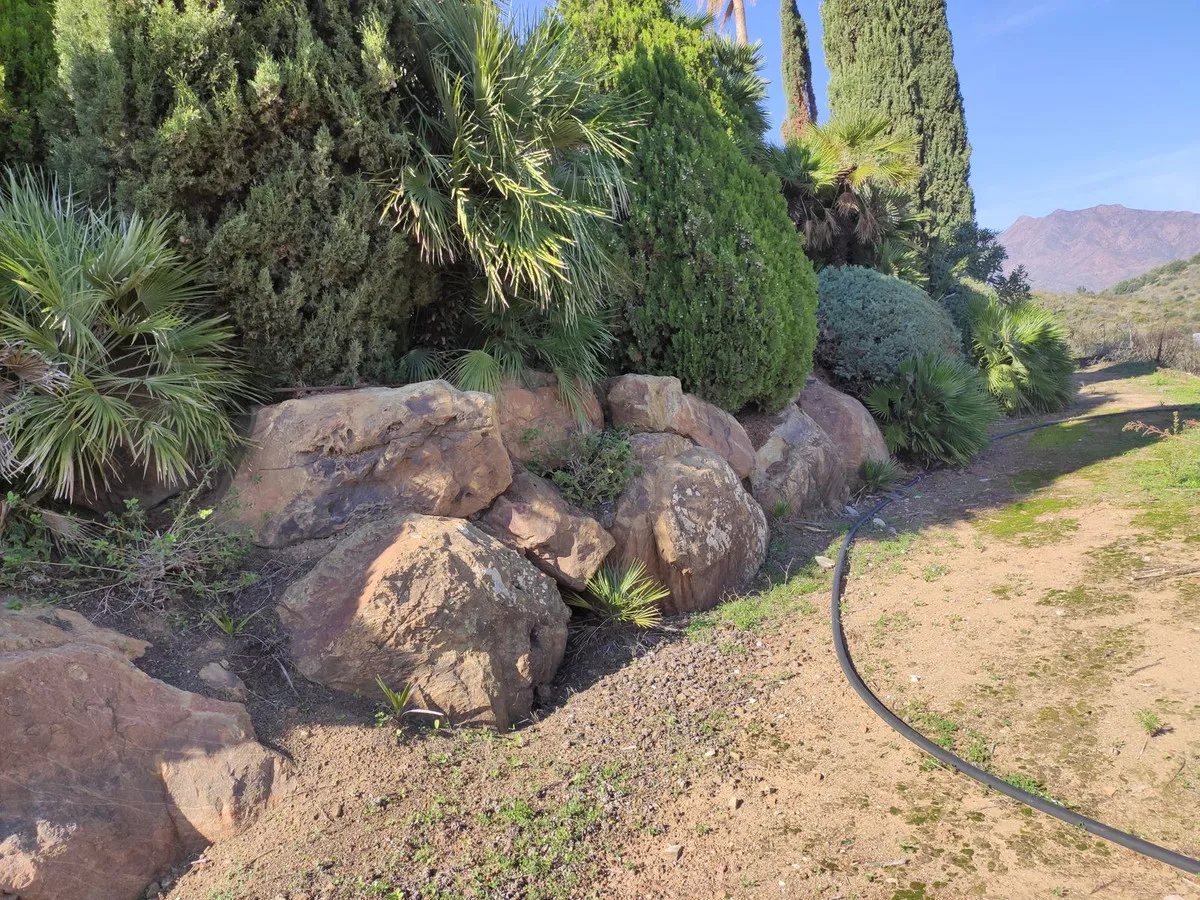 6c3cb2c1-a1b7-41a6-a619-439724fe796d