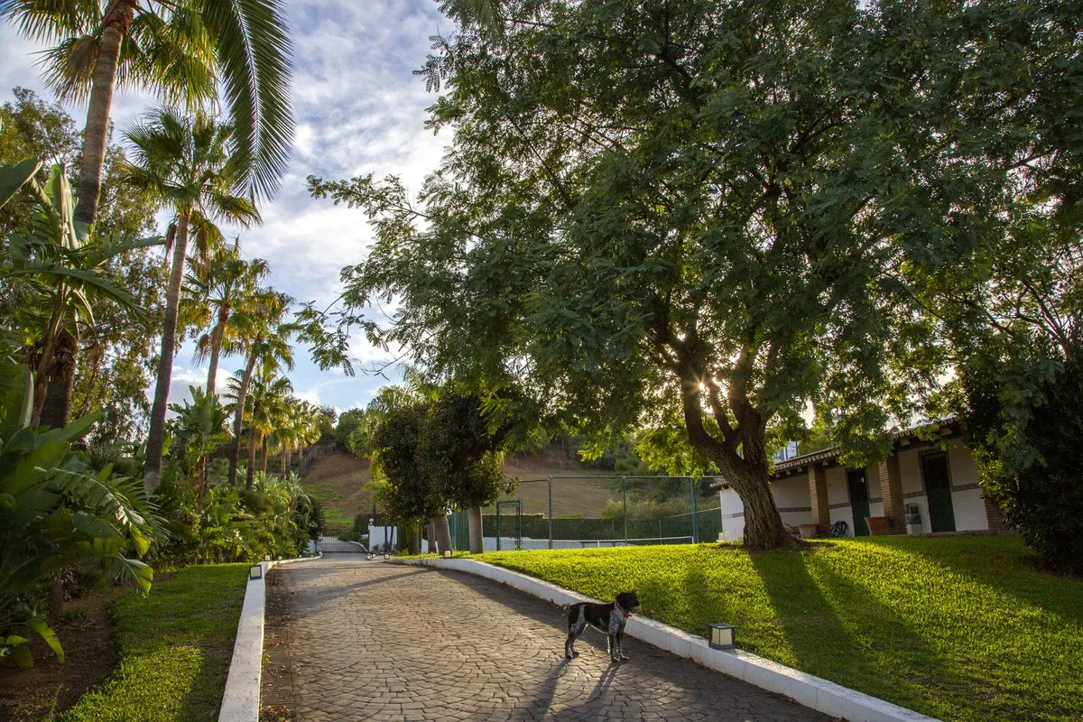 82731bb4-8e95-4b25-acde-f9ee322b30e4