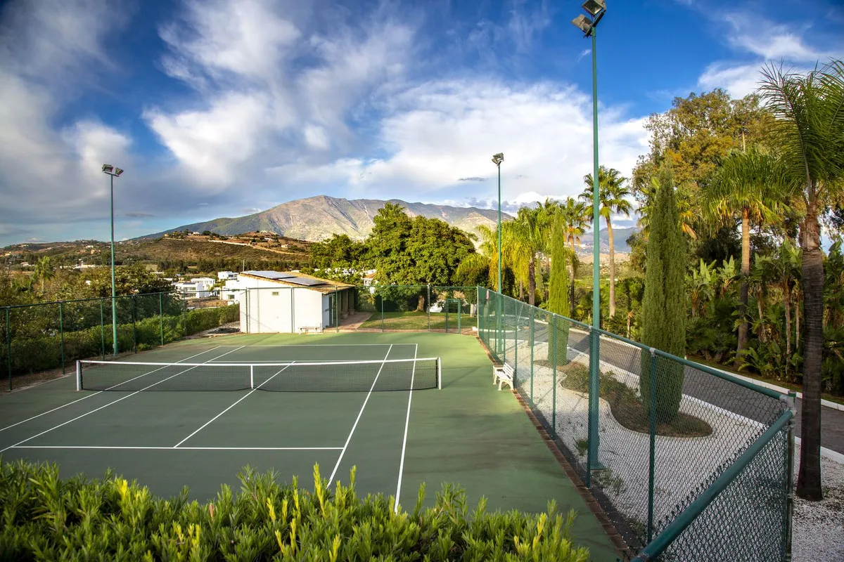 d60e164f-91da-415c-bd3d-97467609e0e4