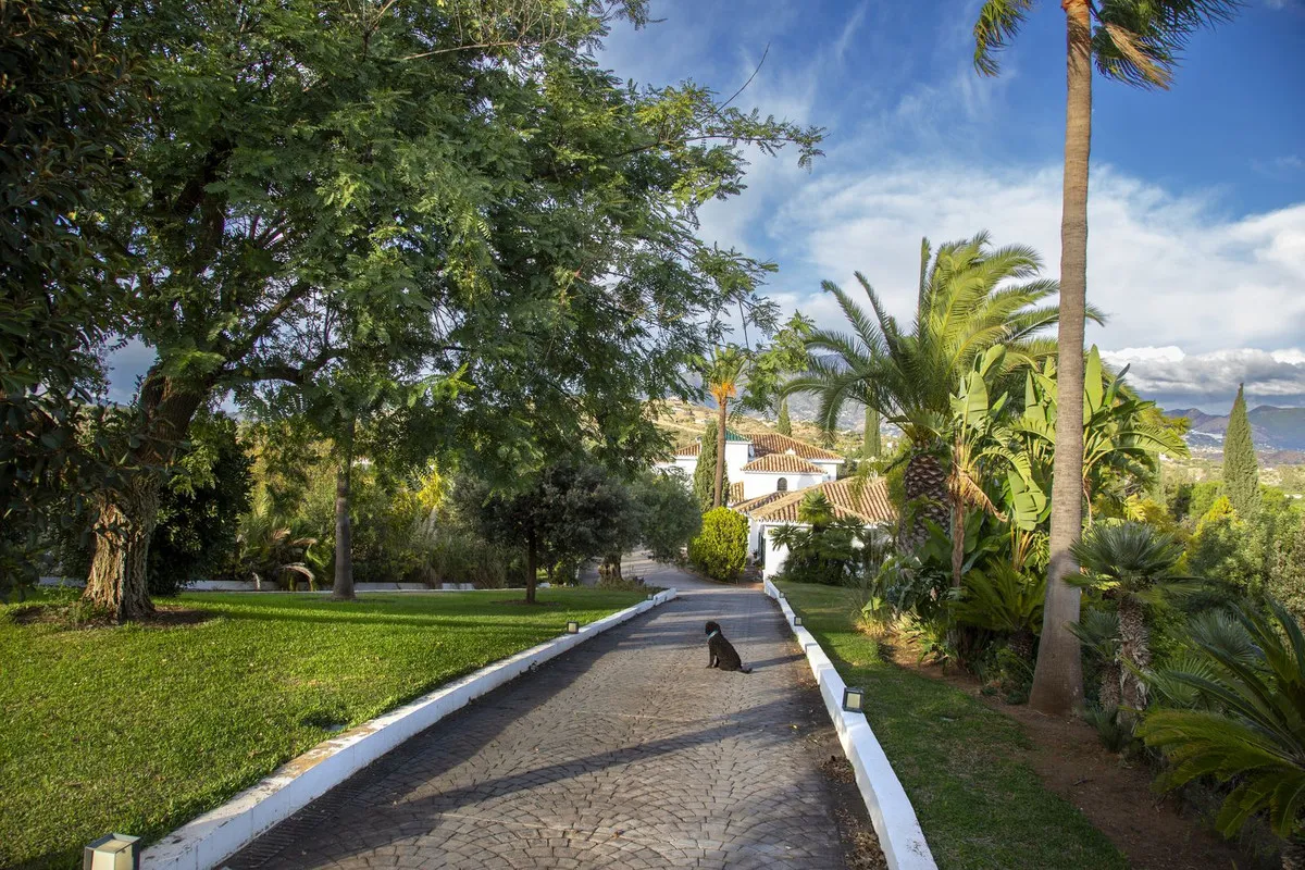 f2a526ac-0037-47e6-9997-fd83ce90708d