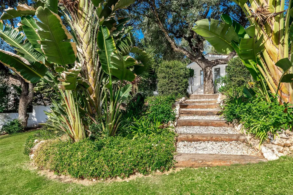 21b61e0e-86e9-4451-98de-67e6404ae483