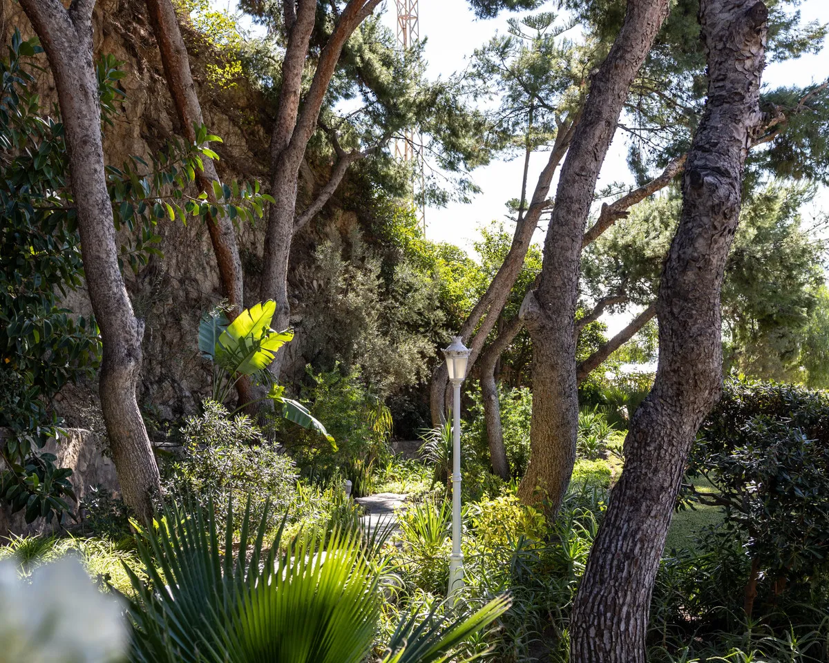 4e8eb0c3-0461-4d04-8664-ee367c1b8bc0