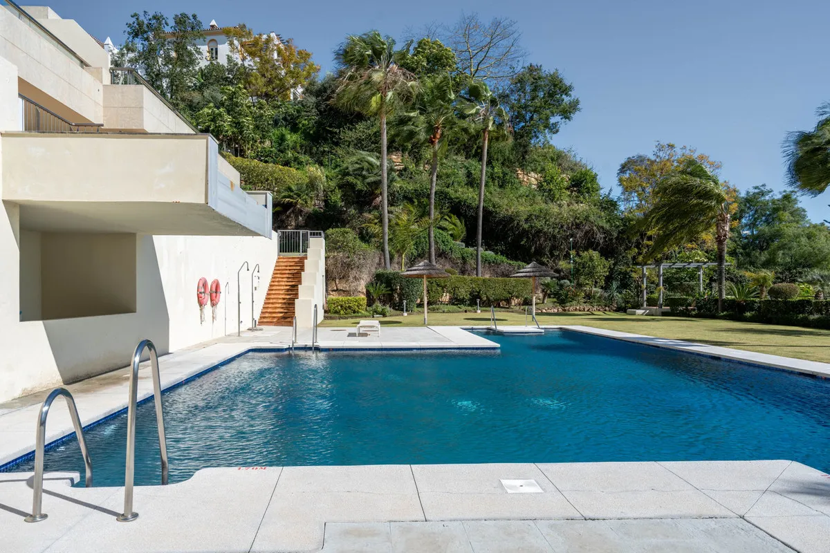 1572d328-68c4-479c-bb36-766261f7d0e5