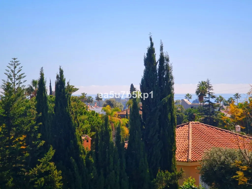 d2371dc8-d053-4101-8644-bf9d4db03c65