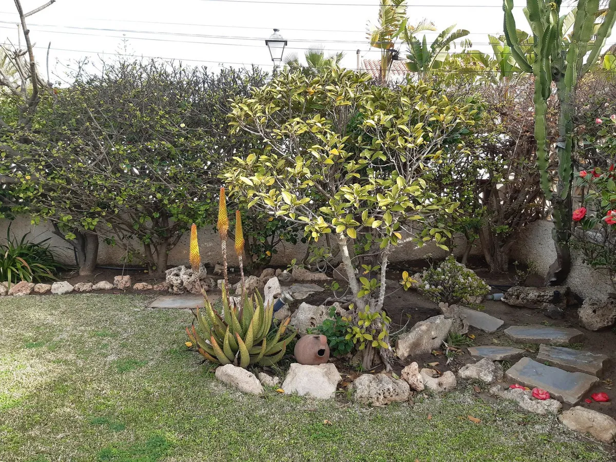 e2e63505-3090-4690-a3ed-2edd1b1038fd