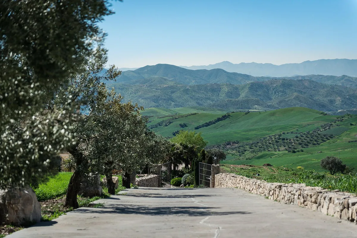 a58a086c-d3d6-4a4b-9a40-ae378f006f9d