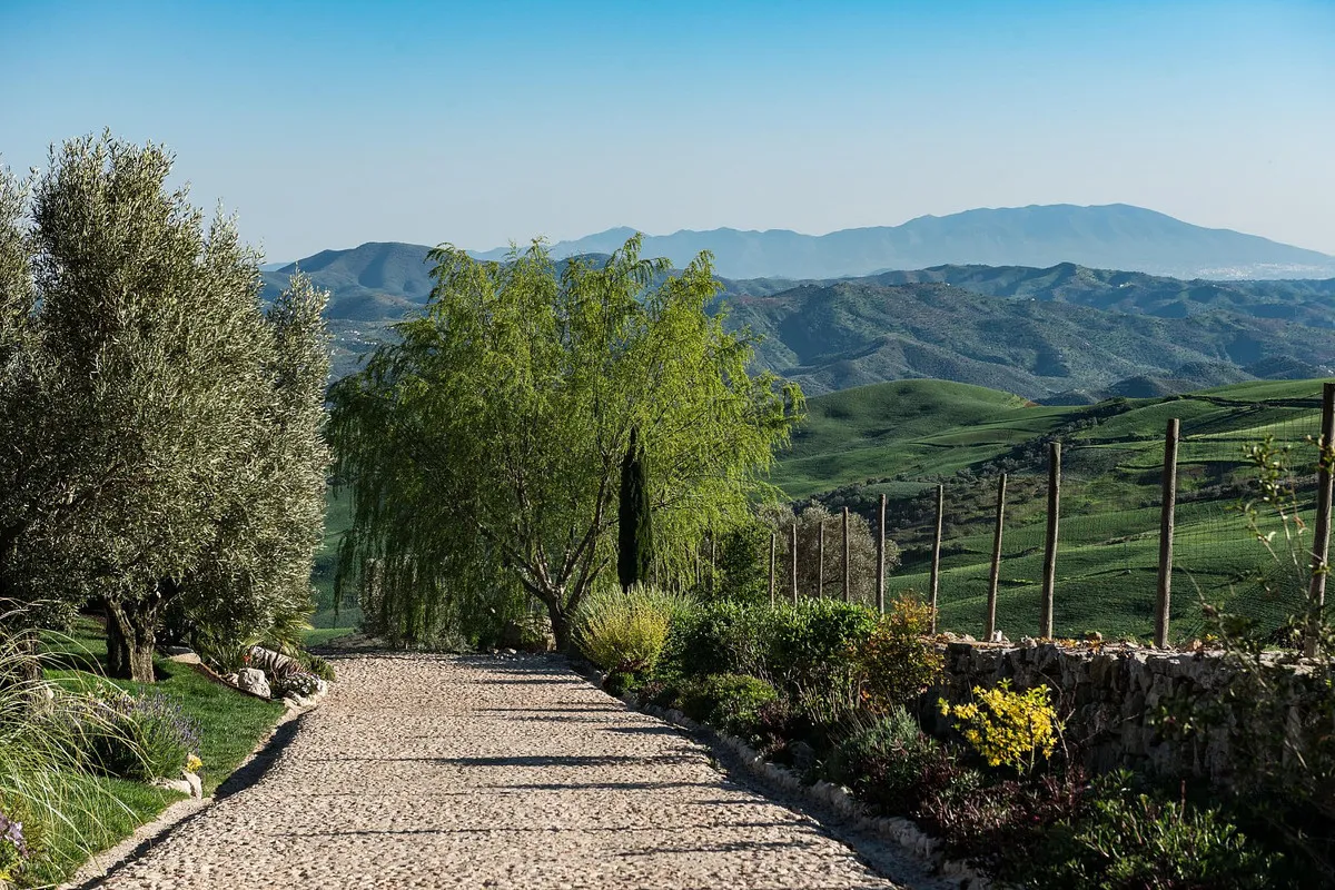 bd4719cc-1c78-45a8-a1b1-92fcf35e247a