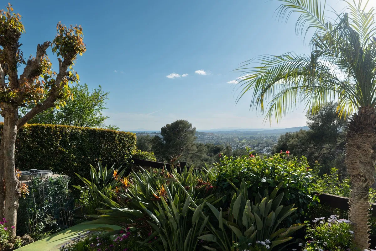 0834a8a8-e5a5-490d-a186-00d91e7bde62