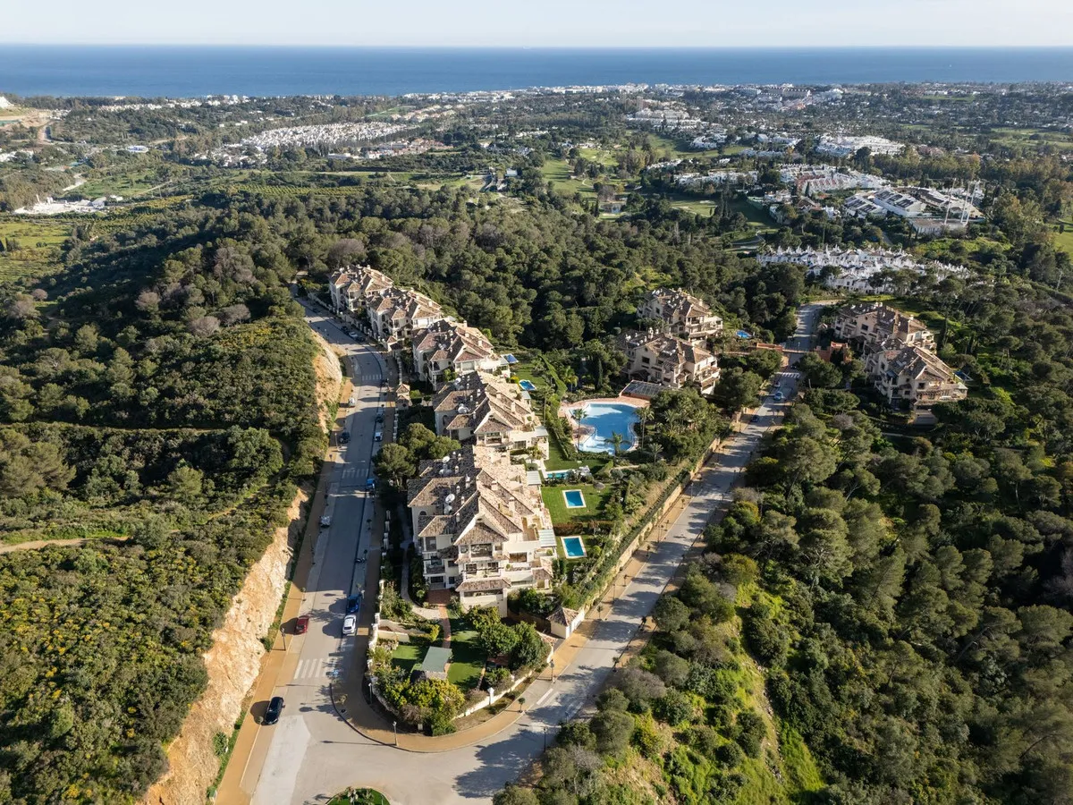 ac373ad5-07b4-4733-b338-186f7322ed98